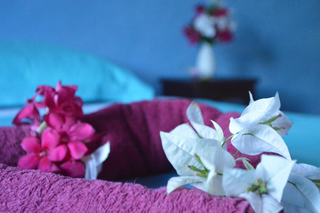Manga Rosa Hospedagem Canoa Quebrada Cameră foto